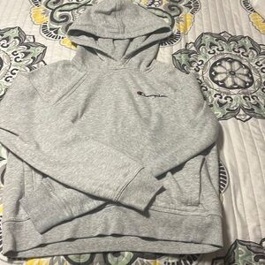 Champion hoodie